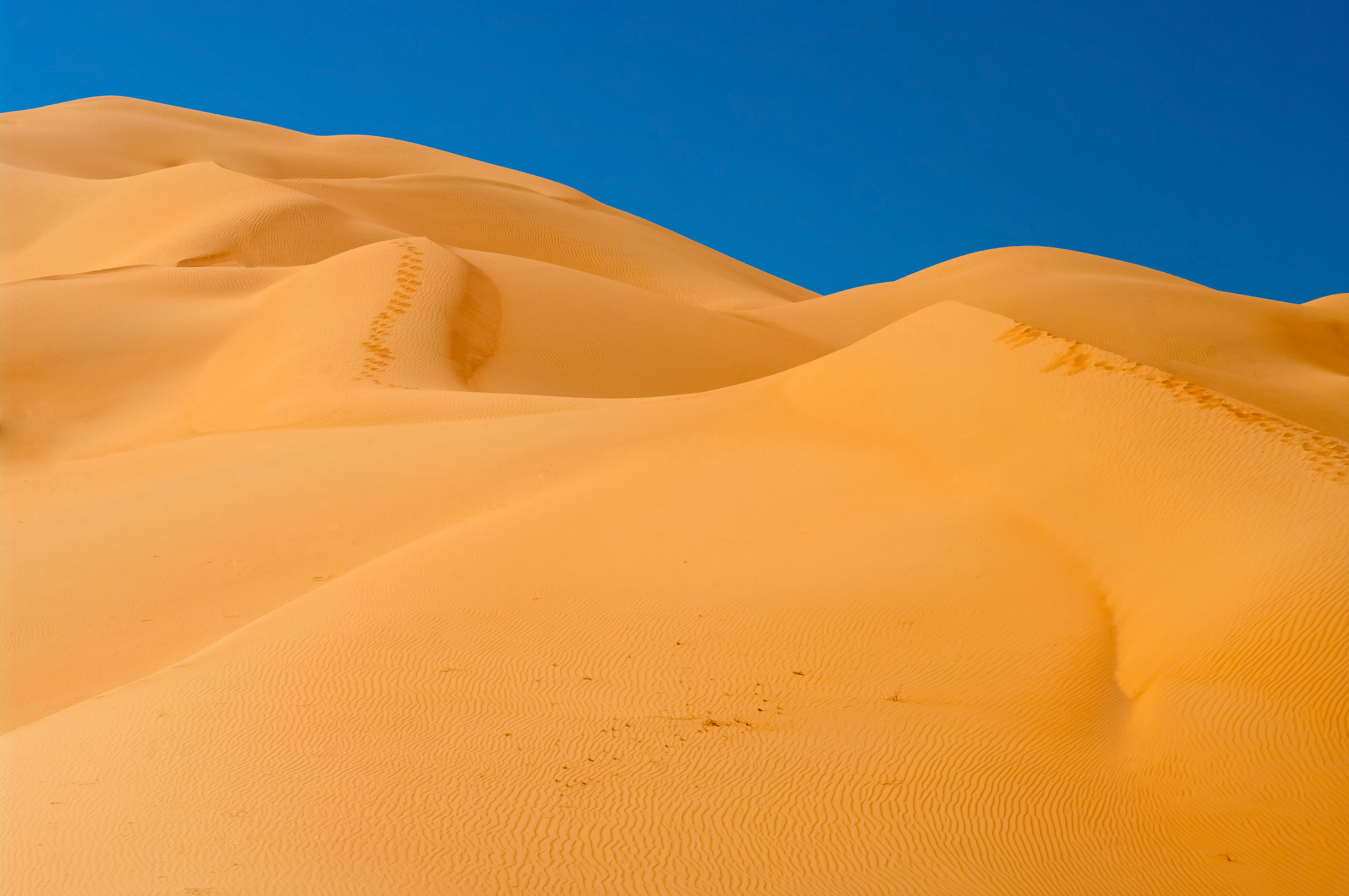 صحراء عمان